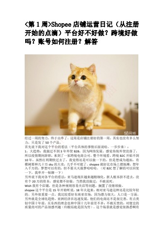 Shopee成长猫从0到一运营笔记(4)电子书